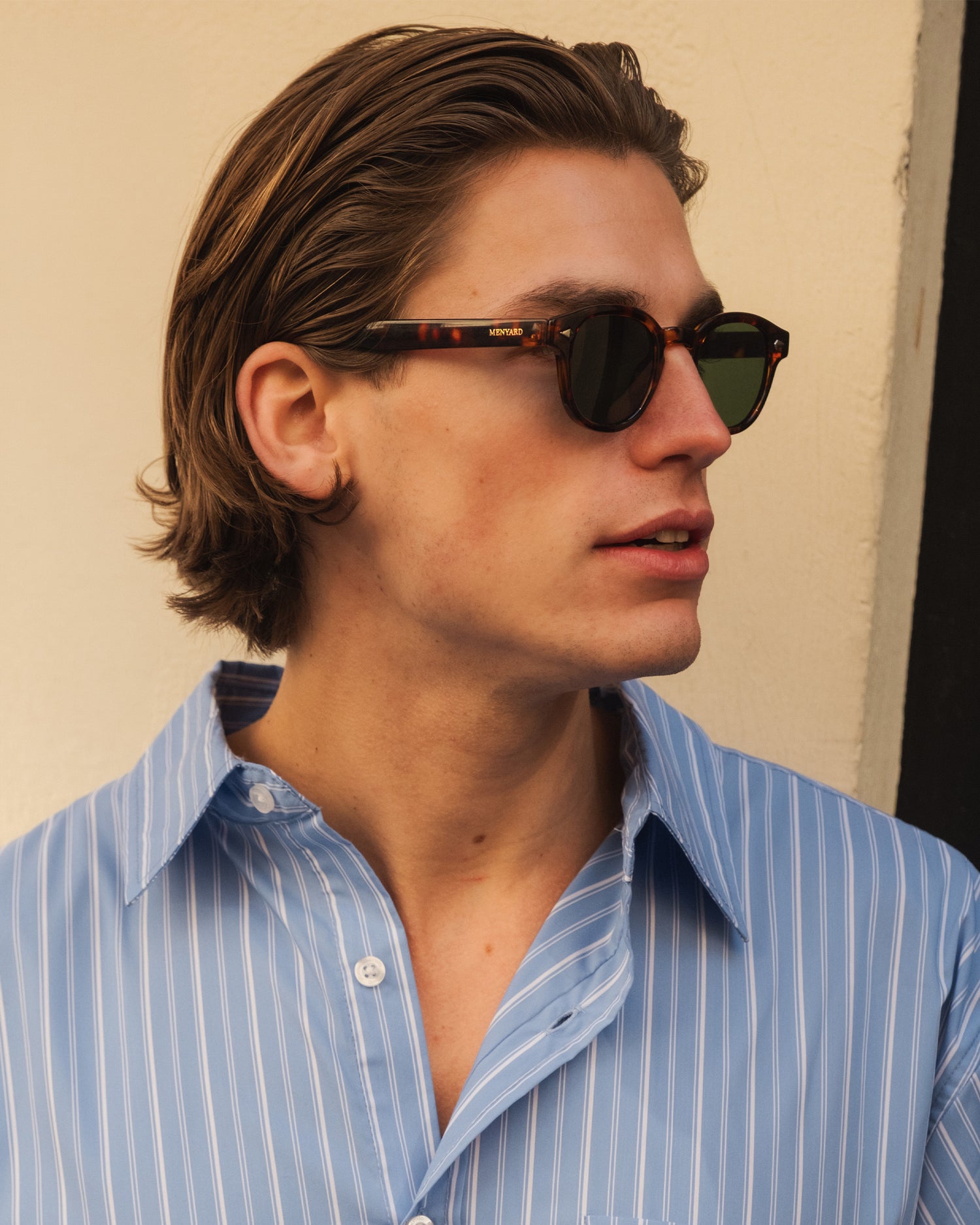 Laurent sunglasses | Tortoise/Green